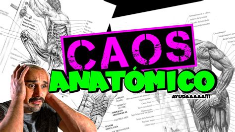 Por que es tan difícil estudiar Anatomía Como comenzar a estudiar de