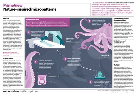 Nature Inspired Micropatterns Nature Reviews Methods Primers