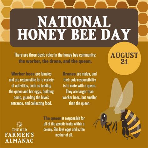 National Honey Bee Day Poster