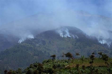 Kebakaran Di Gunung Sumbing Semakin Meluas Okezone News