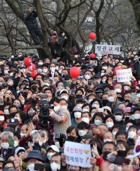 윤석열 유세 보기 위해 나무에 오른 대구 시민들 네이트 뉴스