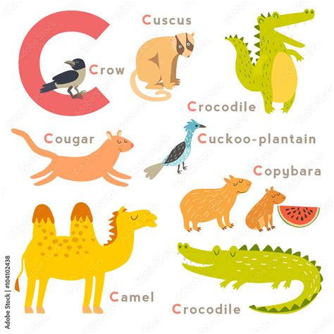 C letter animals set. English alphabet. Vector illustration, isolated ...