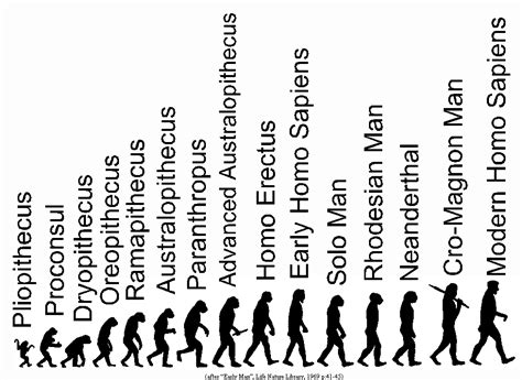 ANTROPOLOGIA SOCIAL: LA EVOLUCIÓN HUMANA