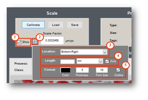 Scale Bar Architecture