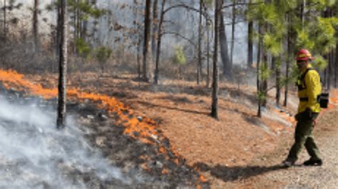 Gov Mcmaster Proclaims March Prescribed Fire Awareness Month