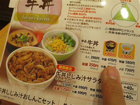 上越に暮らすtakeさんの忘我混沌な日常 すき家 牛丼中盛・青ねぎ＆コチュジャンだれ＆ねぎキムチトッピング