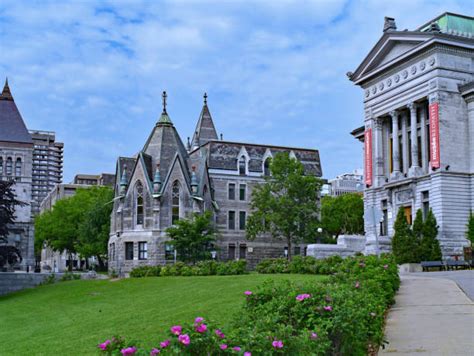 Best Mcgill University Stock Photos, Pictures & Royalty-Free Images - iStock