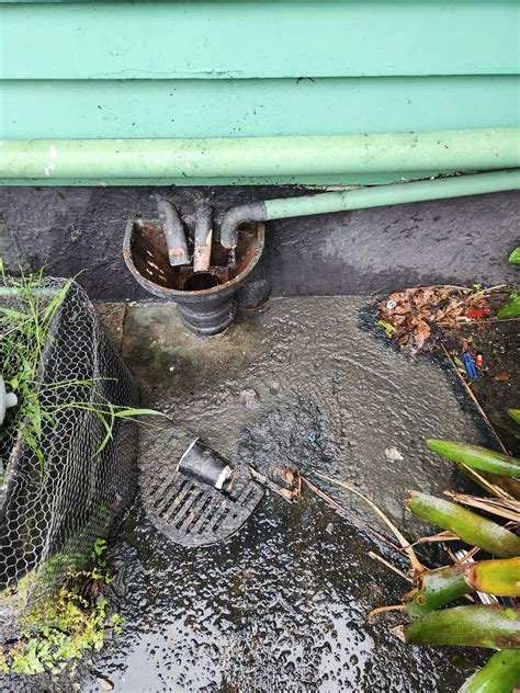 Drain Unblocking Services Auckland Wide