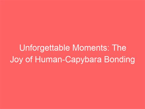 Unforgettable Moments: The Joy of Human-Capybara Bonding - Capybara Lovers