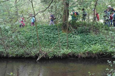 Wandertag Der Ersten Und Zweiten Klasse Grundschule M Den