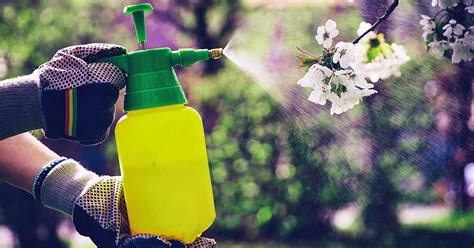 How To Apply Herbicides And Pesticides Safely Gardeners Path