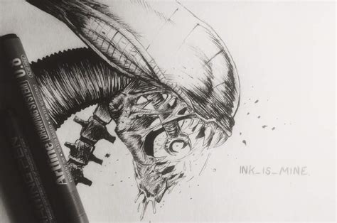 Xenomorph Arte Amino Amino