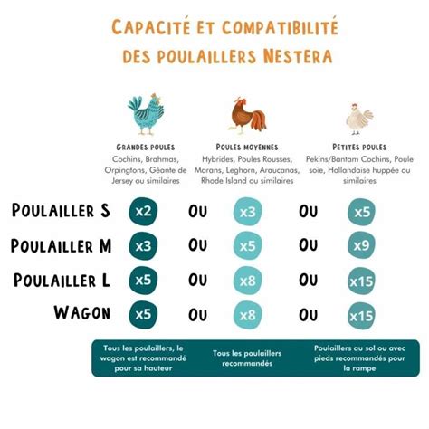 Poulailler recyclé avec pieds pour 3 à 5 poules petit modèle NESTERA