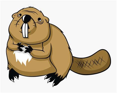 Punxsutawney Phil Png Image Transparent Png Free Download On Seekpng