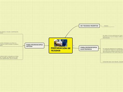 Preparaci N De Tejidos Mind Map