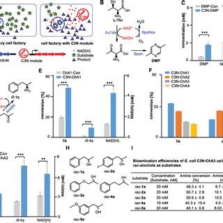 Three Nad De Novo Biosynthesis Pathways The Enzymes Used In This