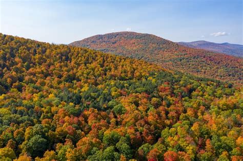 Premium Photo Aerial View Of Fall Foliage Along The Catskill