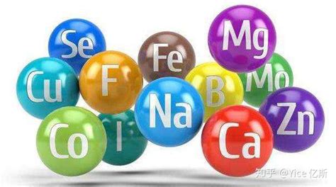 常量元素记忆口诀 人体中的常量元素与微量元素 CSDN博客