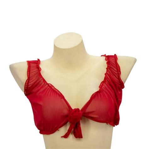 Sheer Tie Front Crop Top Red Bb Store