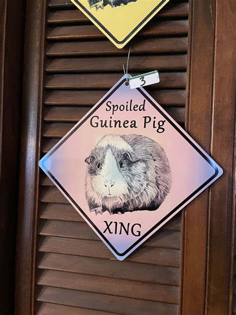 KC Creations Metal Guinea Pig Spoiled Xing Crossing Signs CHOICE EBay