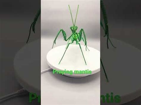 Praying Mantis Wire Sculpture Mantis Religiosa De Alambre YouTube