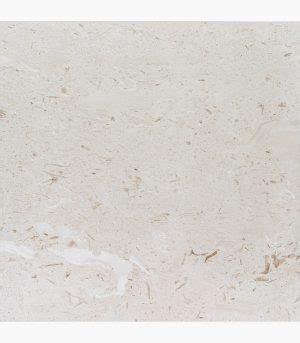 18x18 SHELL STONE BRUSHED LIMESTONE TILE Travertine Warehouse