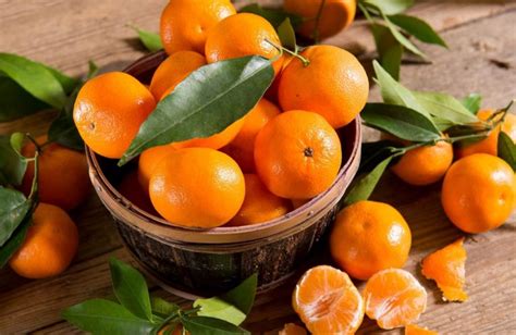 Descubre las increíbles propiedades de la mandarina