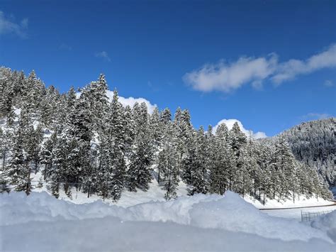 Ski Cloudcroft (Map, Images and Tips) | Seeker