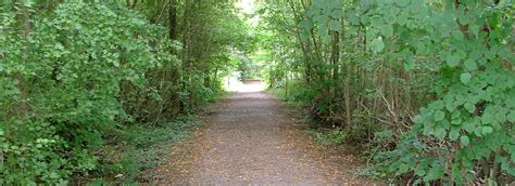 Chambers Farm Wood Walk Visit Lincolnshire