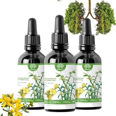 Mullein Leaf Extract For Lungs Clearbreath Dendrobium Mullein