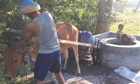 Demi Air Bersih Warga Di Bangkalan Rela Jalan Kaki 3 Kilometer