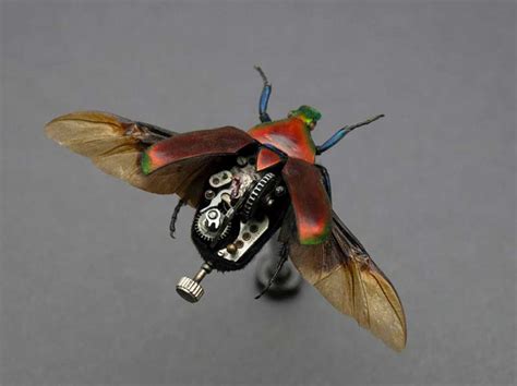 Insect Lab Uses Real Insects In Their Steampunk Bug Sculptures The Gadgeteer