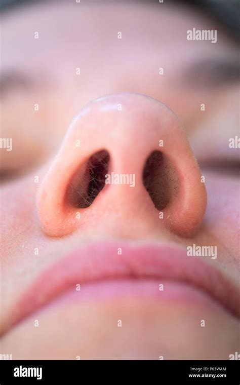 Human Nose Close Up