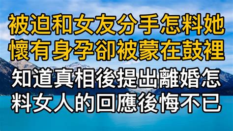 被迫和女友分手怎料她懷有身孕卻被蒙在鼓裡，知道真相後提出離婚怎料女人的回應後悔不已。真實故事 ｜都市男女｜情感｜男閨蜜｜妻子出軌｜楓林情感 Youtube