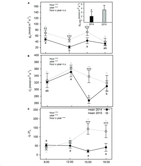 Time Course Of Stomatal Conductance G S A Intercellular CO 2