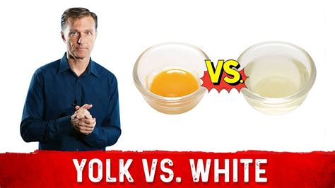 Egg Yolk Vs Egg White What S The Difference YouTube