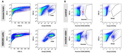 Frontiers A Guide To Single Cell Transcriptomics In Adult Rodent