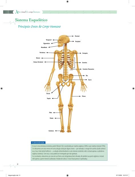 Anatomia Do Corpo Humano Pdf - Anatomia - Atlas Visual do Corpo Humano.PDF