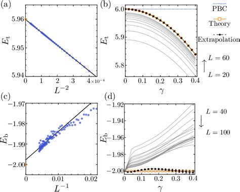 Figure From Amoeba Formulation Of Non Bloch Band Theory In Arbitrary