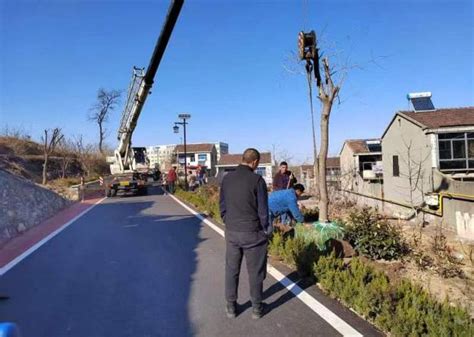 博山区白塔镇：植此“新绿” 助力全域公园城市建设