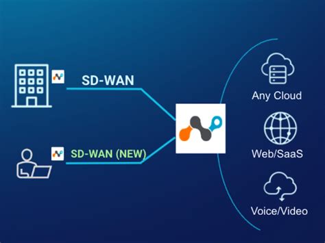 Borderless Sd Wan Remote Access Netskope