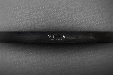 seta logo identity demo  behance