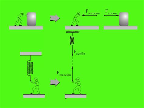 Diagrama De Cuerpo Libre Fuerzas Ppt