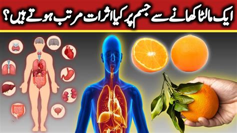 Health Benefits Of Citrus Fruits Malta Khane Ke Fayde Desi Tips