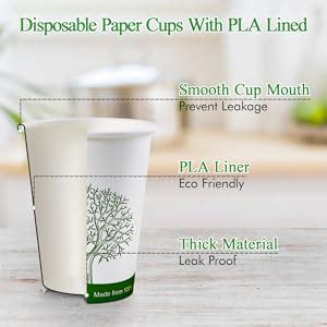 Amazon ECOLipak 300 Pack Compostable Paper Cups 8 Oz