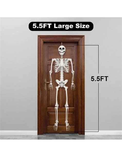 Halloween Skeleton Decorations - 5.5FT Life Size Skeleton ...