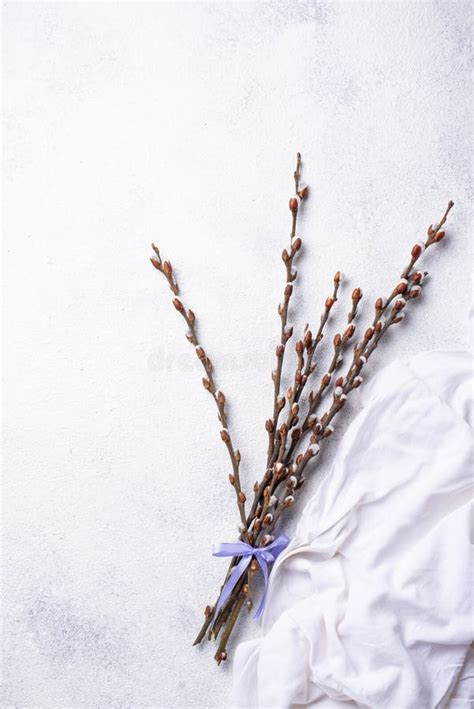 Easter Background with Pussy Willow 库存照片 图片 包括有 国界的 春天 168323638