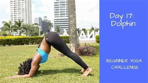 How To Dolphin Pose Beginner Yoga Challenge Day 17 Youtube