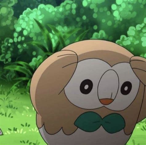 Disassociating Rowlet Pokemon Memes Pokemon Cute Pokemon