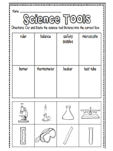 Science Worksheets 1st Grade | PDF